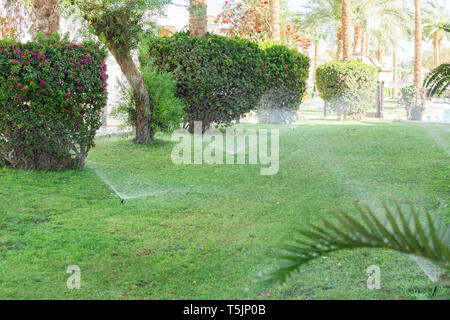 Doccia in giardino per irrigare il prato. Innaffiamento automatico prati concetto. Foto Stock