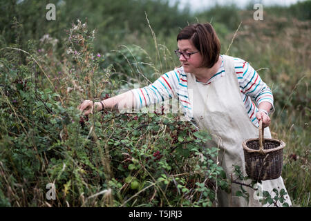 Donna che indossa il grembiule holding marrone cesto in vimini, prelievo di more. Foto Stock