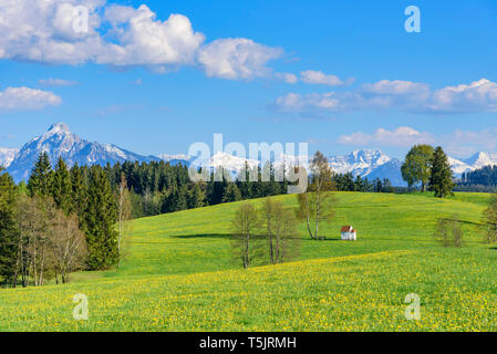La bellissima natura al confine delle Alpi vicino Seeg in Algovia orientale su un pomeriggio di primavera Foto Stock