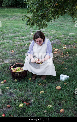 Donna seduta in un frutteto sotto il melo accanto al marrone cesto in vimini con appena raccolto le mele, peeling un apple. Foto Stock