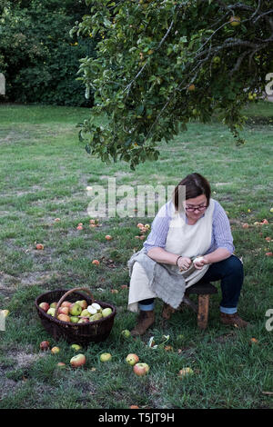 Donna seduta in un frutteto sotto il melo accanto al marrone cesto in vimini con appena raccolto le mele, peeling un apple. Foto Stock