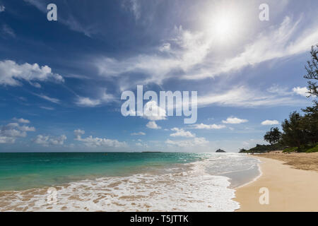 Stati Uniti d'America, Hawaii, Oahu Kailua Bay, Kalama Beach Foto Stock