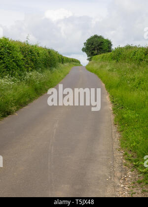 Harrow modo - Sud Est Basingstoke - SU663502 Foto Stock