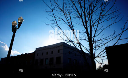 Spettacolare ora blu con la silhouette di struttura angolare di edificio di strada con albero autunnale senza foglie e lampione di strada posto contro cielo quasi chiaro. Foto Stock