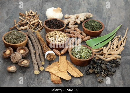 Cibo Adaptogen selezione con erbe e spezie. Utilizzato in medicina di erbe per aiutare il corpo a resistere al danneggiamento per effetto di sollecitazioni. Foto Stock