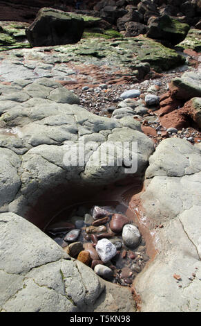 Onda-piattaforma di taglio spiaggia fossile Watchet Somerset Foto Stock