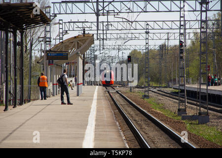 Swallow sulla piattaforma Pargolovo. Ferrovie Russe. La Russia, San Pietroburgo, 8 maggio 2018 Foto Stock