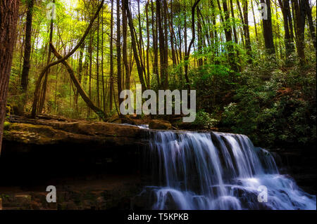 Tempo di primavera trekking lungo Kiner Creek in Laural eseguire Park di Churchill Tennessee dove uno può vedere fiori selvatici, fluente creek e Laural eseguire cade a dieci Foto Stock