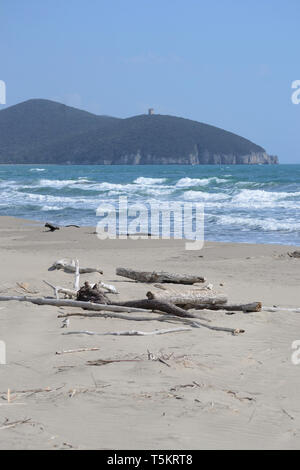 Vista scemic di coste selvagge del Parco Naturale della Maremma con i suoi tronchi di alberi sulla riva e Rocky Hill in background Foto Stock