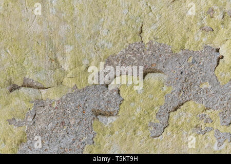 Dipinto incrinato peeling e rendering di sfilarsi dal cemento superficie di sfondo. La vecchia vernice texture, tessitura grossolana. Foto Stock