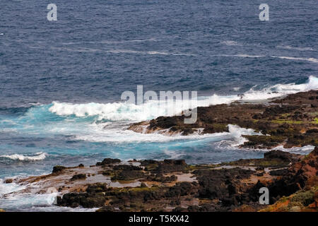 Cape Schank su Morningside Penisola è una popolare destinazione turistica, per la sua bellezza e la sua robustezza. Victoria, Australia Foto Stock