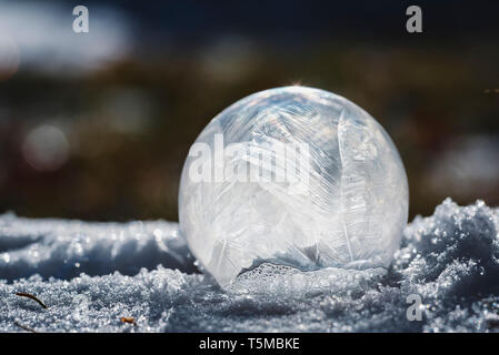 Close up congelate di bolla di sapone sul terreno nevoso al di fuori in inverno. Foto Stock