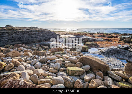 Rocce e reef area al Sunset Cliffs parco naturale. Foto Stock