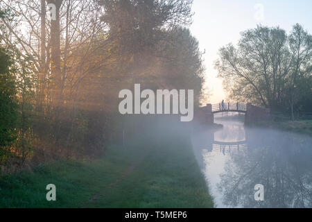 Uomo che cammina attraverso un ponte sul canale di oxford nella nebbia a sunrise. Banbury, Oxfordshire, Inghilterra Foto Stock