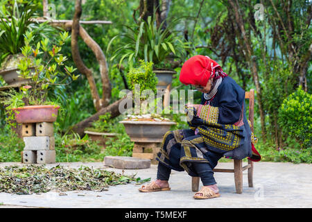 Donna di Red Dzao minoranza etnica Popolo di Sapa, il Vietnam Asia Foto Stock