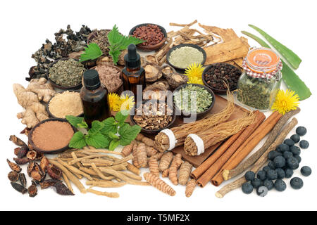 Adaptogen cibo con erbe aromatiche, spezie, olio essenziale e supplemento di polveri. Utilizzato in medicina di erbe per aiutare il corpo a resistere agli effetti dannosi di stress. Foto Stock