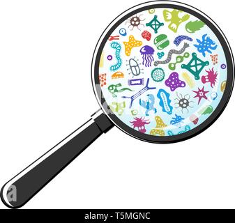 Microrganismo batterico attraverso la lente di ingrandimento. I batteri e i germi, micro-organismi, batteri, virus, funghi, protozoi sotto il vetro di ringiovanimento Illustrazione Vettoriale