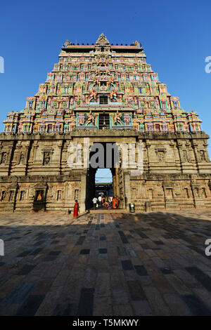 La colorata Thillai Natarajah tempio di Chidambaram, India. Foto Stock