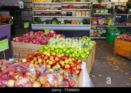 Cromwell/Nuova Zelanda: Delicious orange kiwi mele pere sul mercato della frutta sul ripiano agricoltore stallo alimentari cibo sano in orchard Cromwell Foto Stock