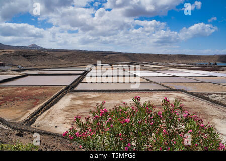 Salinas de janubio a Lanzarote, Spagna Foto Stock