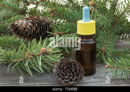 Olio essenziale di pino in una bottiglia di vetro con pino di conifere lascia su di un tavolo di legno. Foto Stock