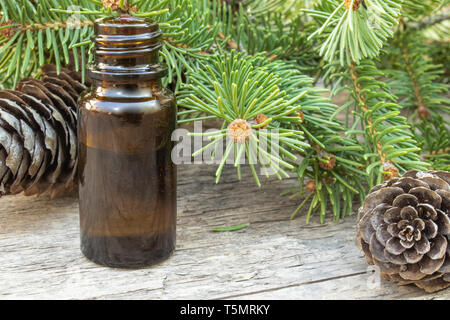 Pino olio essenziale in una piccola bottiglia marrone e rami di pino con boccioli verde al buio su un tavolo di legno Foto Stock