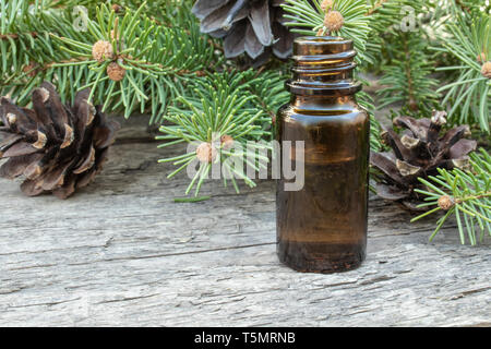 Pino olio essenziale in una piccola bottiglia marrone e rami di pino con boccioli verde al buio su un tavolo di legno Foto Stock