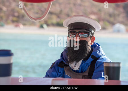 Capitano della Barca indossano false barba, Espiritu Santo Isola, Baja California Sur, Messico. Foto Stock