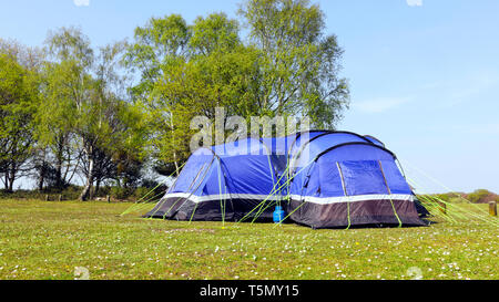 Big Blue famiglia tenda piantato in un prato di primavera con fiori selvaggi, accanto alle betulle, sul bordo della pianura della nuova foresta , Regno Unito . Foto Stock