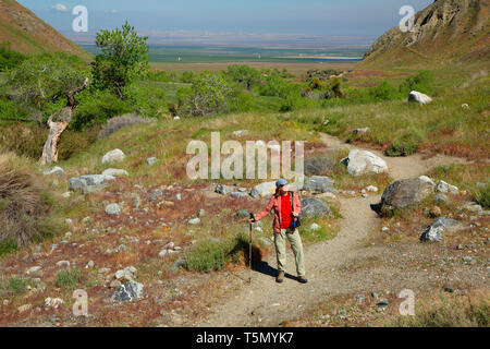 San Emigdio Canyon Trail, vento lupi preservare, California Foto Stock