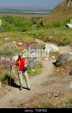 San Emigdio Canyon Trail, vento lupi preservare, California Foto Stock