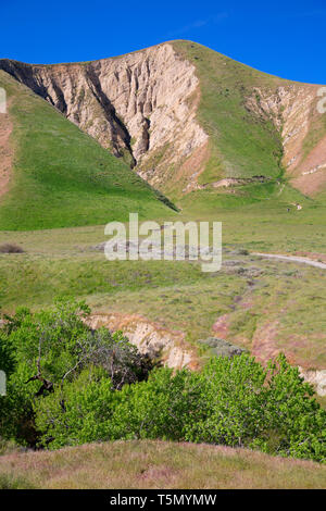 San Emigdio Mountains da San Emigdio Canyon Trail, vento lupi preservare, California Foto Stock