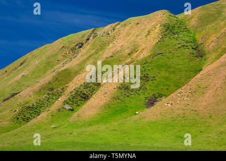 San Emigdio Mountains da San Emigdio Canyon Trail, vento lupi preservare, California Foto Stock