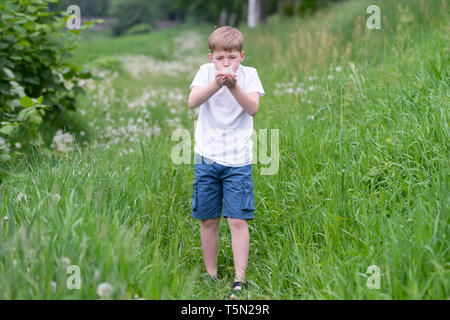 Ritratto di un bel ragazzo con il tarassaco. Foto Stock