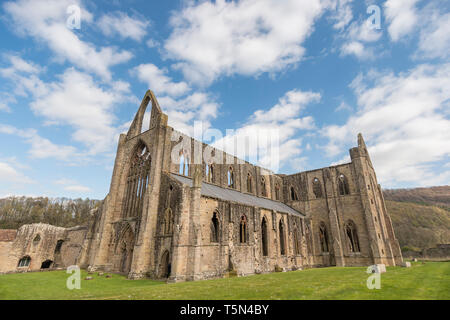 Il restaurato rovine di Tintern Abbey, Monmouthshire, Wales, Regno Unito Foto Stock
