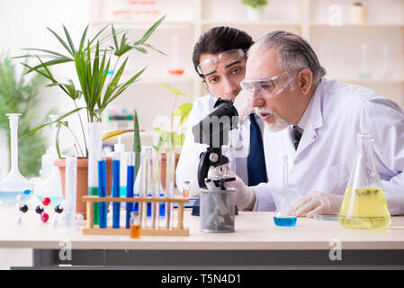 Due chimici che lavorano in laboratorio Foto Stock