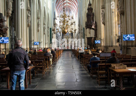 Saint John's Cathedral. Sint Janskathedraal. Paesi Bassi, Hertogenbosch, noto anche come Den Bosch. La chiesa gotica. Foto Stock