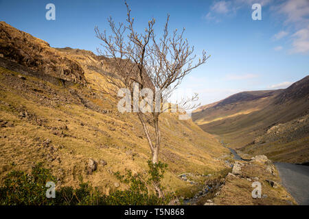 Il Honister Pass nel Parco Nazionale del Distretto dei Laghi, Cumbria Inghilterra REGNO UNITO Foto Stock