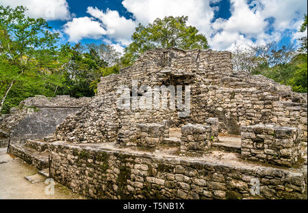 La Piramide Maya a Coba in Messico Foto Stock