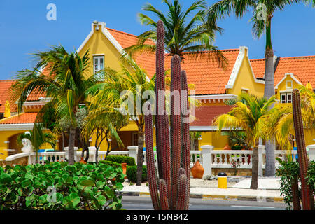 Cactus con villa in background su aruba Foto Stock