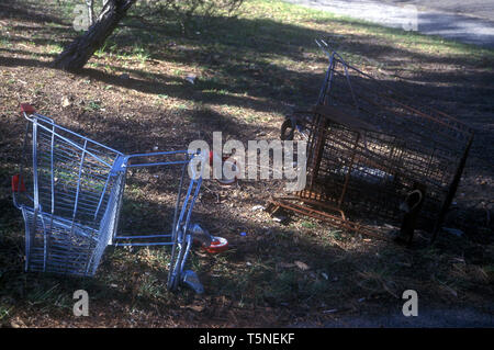 Abbandonati i carrelli di shopping in un parco di Sydney, Nuovo Galles del Sud, Australia Foto Stock