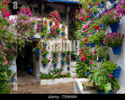 Cordovan tradizionale cortile interno Cordoba, Spagna aprile, 24, 2019 Foto Stock