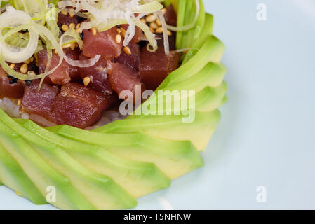 Tartare di tonno rosso carne su un letto di riso, guarnite con fette di avocado e sottili fette di porri, in bianco e nero salsa di sesamo su un bianco p Foto Stock