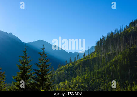 Sunrise nei monti Tatra, Piccola Polonia, Europa Foto Stock