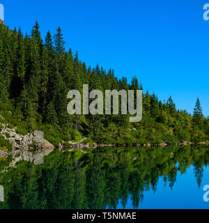 Il lago in alta montagna con foreste di Pino sulla Sponda a chiara giornata di sole Foto Stock