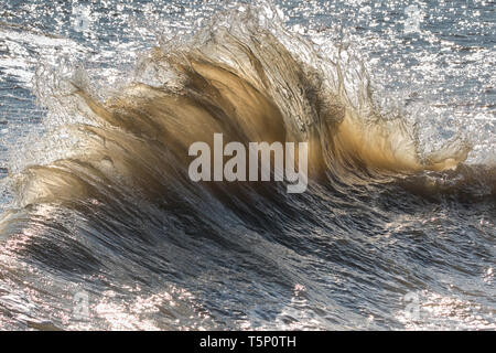 Onde che si infrangono retro-illuminato dalla mattina presto sunshine Foto Stock