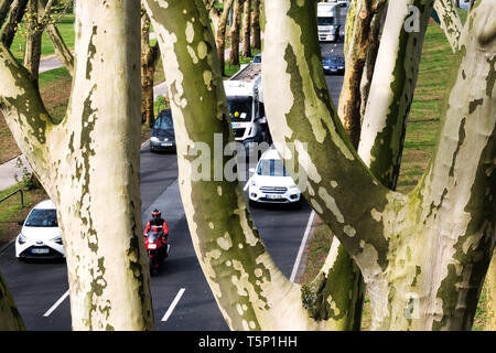 Camion e automobili che circolano tra i platani del vecchio albero avenue dell'autostrada federale No.1 (Ruhrschnellweg) nell'area urbana di Dortmund in Germania. --- Lastwagen fahren Plantanen zwischen der alten Baumallee auf der Deutschen Alleenstraße der Bundesstraße 1 Ruhrschnellweg im Stadtgebiet von Dortmund, Deutschland. Foto Stock