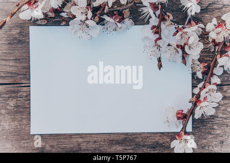 Rami di fiori bianchi - Albicocche e ciuffo di stami gialli sullo sfondo di vecchie schede madri. Posto per il testo. Il concetto della molla è venuto. Vista da abo Foto Stock