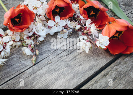 Un bouquet di tulipani rossi e rami di fiori bianchi su vecchie tavole di legno. Posto per il testo. Il concetto della molla è venuto. Vista da sopra. Banner ma Foto Stock