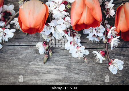 Bouquet con bianco fiori albicocca e tulipani rossi su sfondo di vecchi, di tavole di legno. Posto per il testo. Il concetto della molla è venuto. Foto Stock
